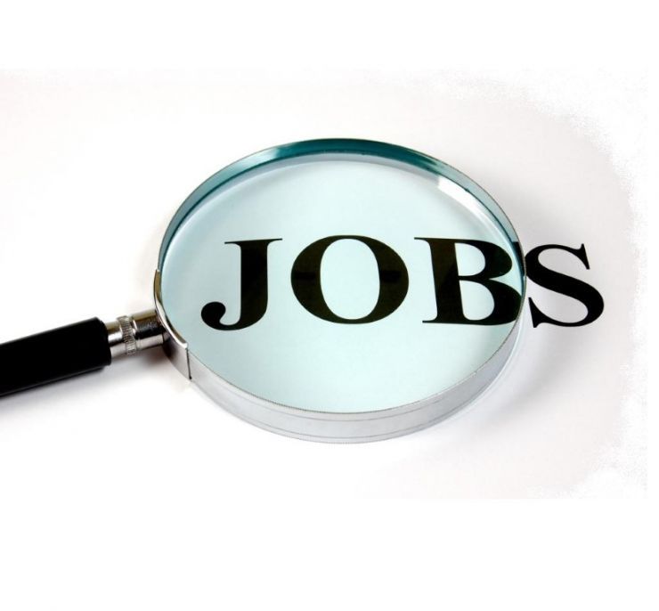 Peste 400 de locuri de muncă vacante în județul Satu Mare