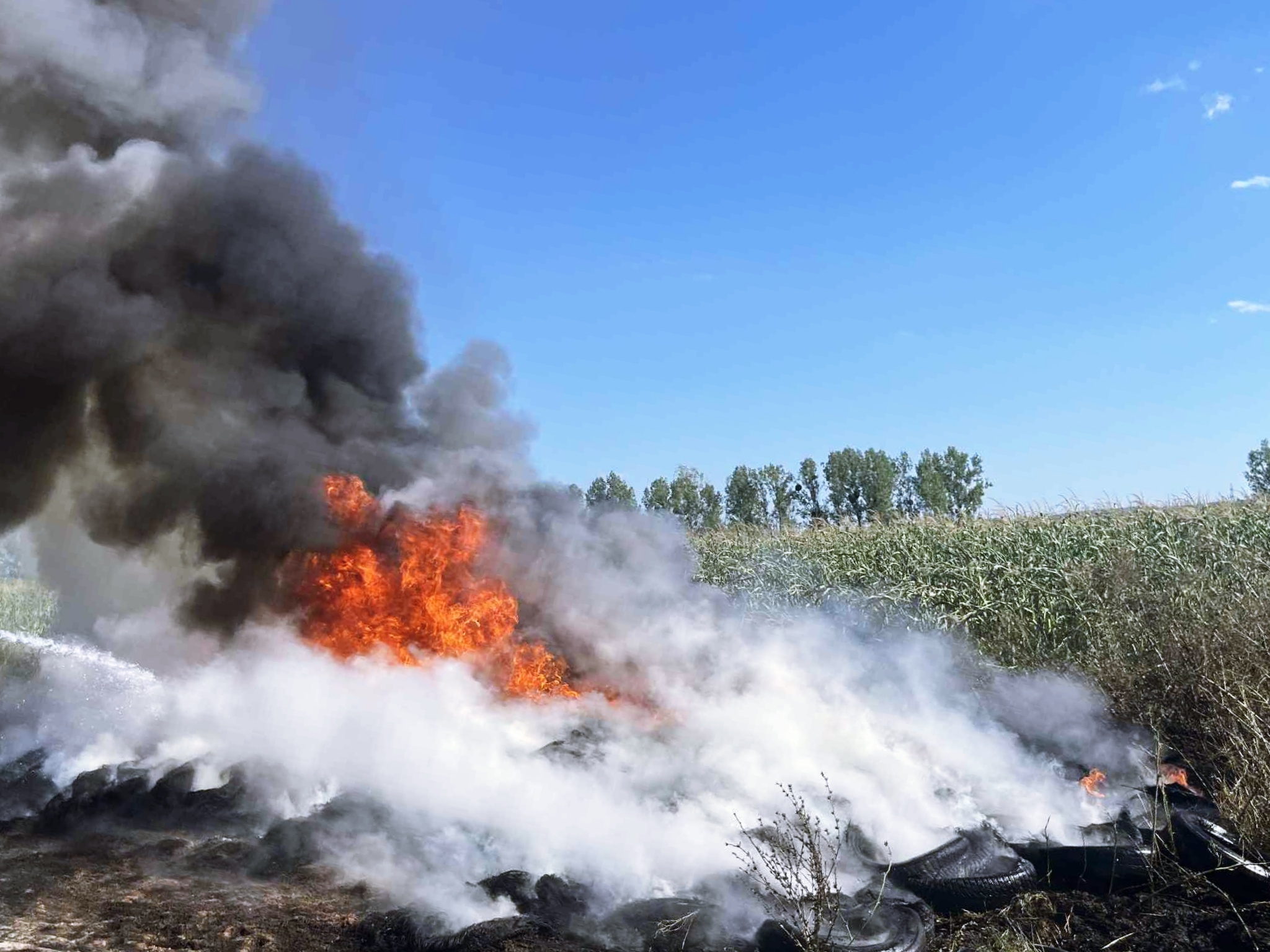 incendiu vegetatie valea vinului 1