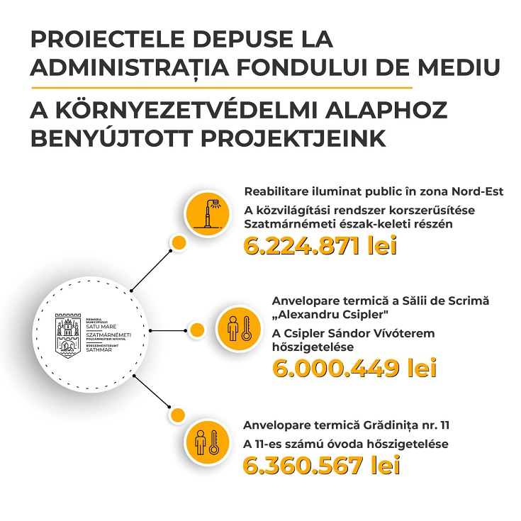 proiecte primaria satu mare mediu