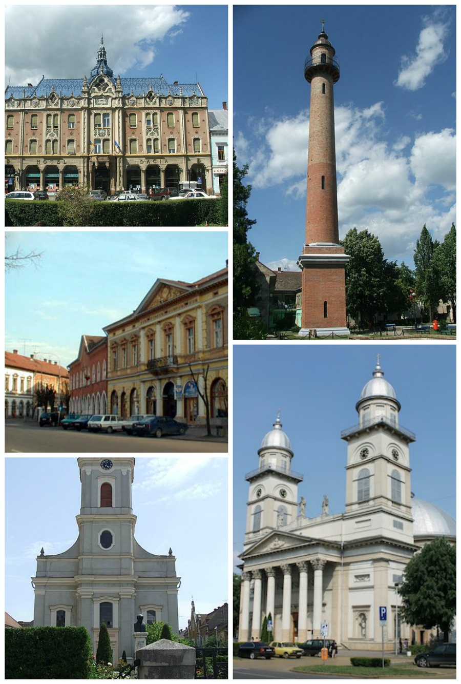 Colaj Municipiul Satu Mare