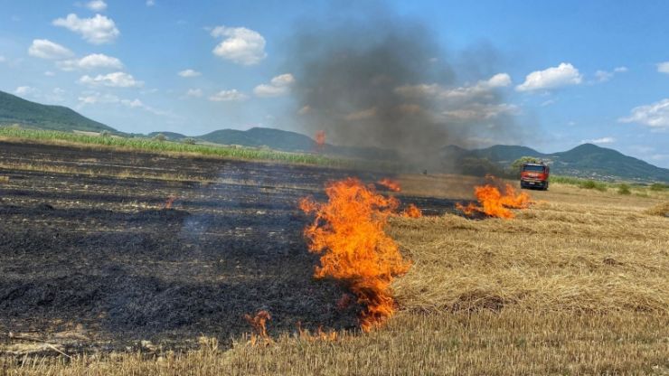 Șase hectare de vegetație uscată au ars în două incendii izbucnite lângă Turț