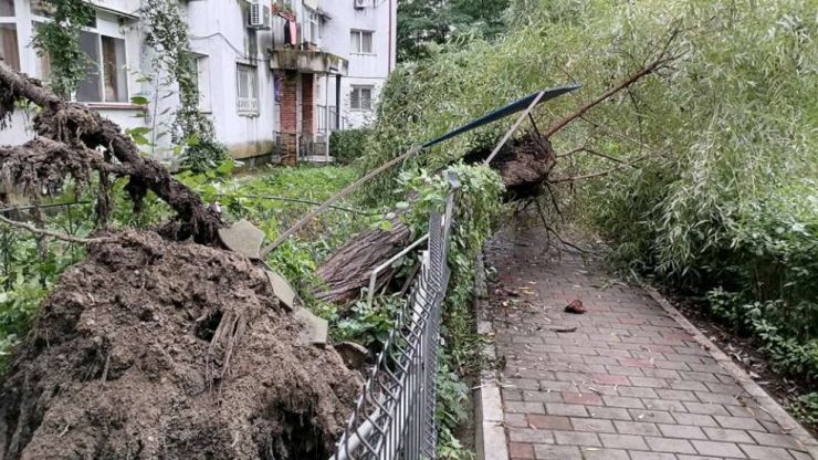Vântul puternic a produs pagube importante în mai multe zone ale municipiului Satu Mare
