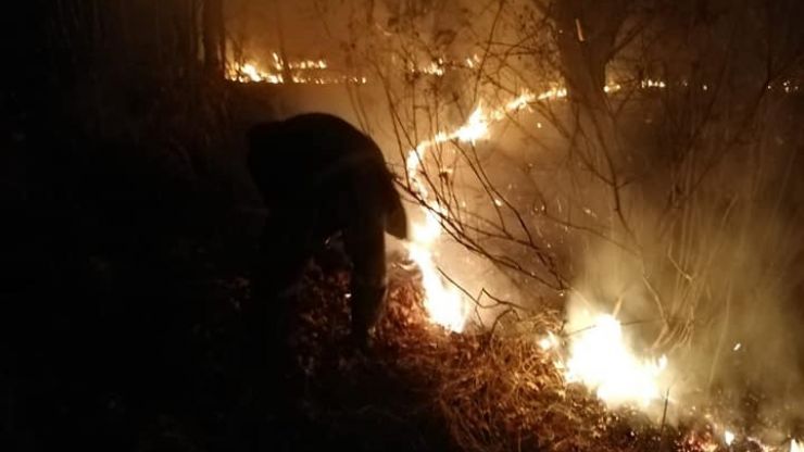 Cinci hectare de lizieră au ars în Țara Oașului