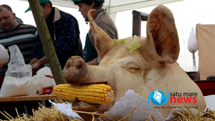 Concurs de tăiat porci în Lazuri. Măcelarul din Ghenci a uimit mulțimea prin dibăcia lui