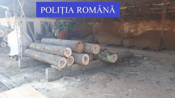 Activități pe linie silvică desfășurate de polițiștii sătmăreni